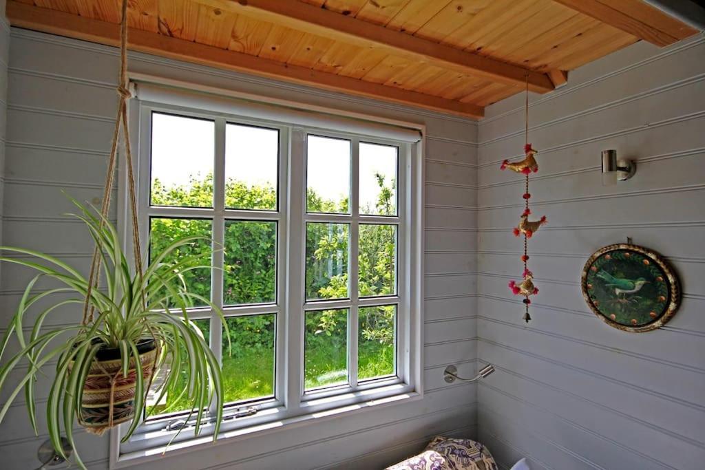 Вилла Tiny House On Isolated Farm By The Cornish Coast Буде Экстерьер фото